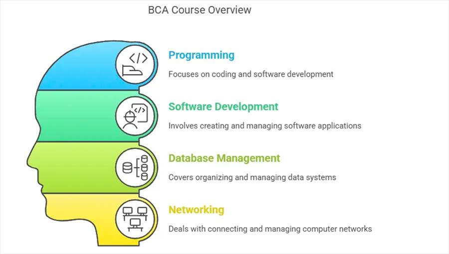 BCA Course Overview