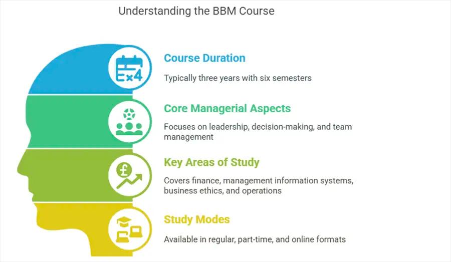 Bachelor of Management Studies