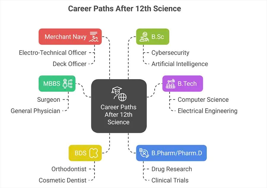 High-Salary Courses After 12th