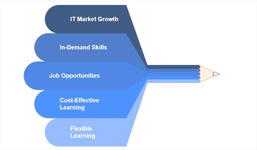 Why Choose an Online MCA in 2025